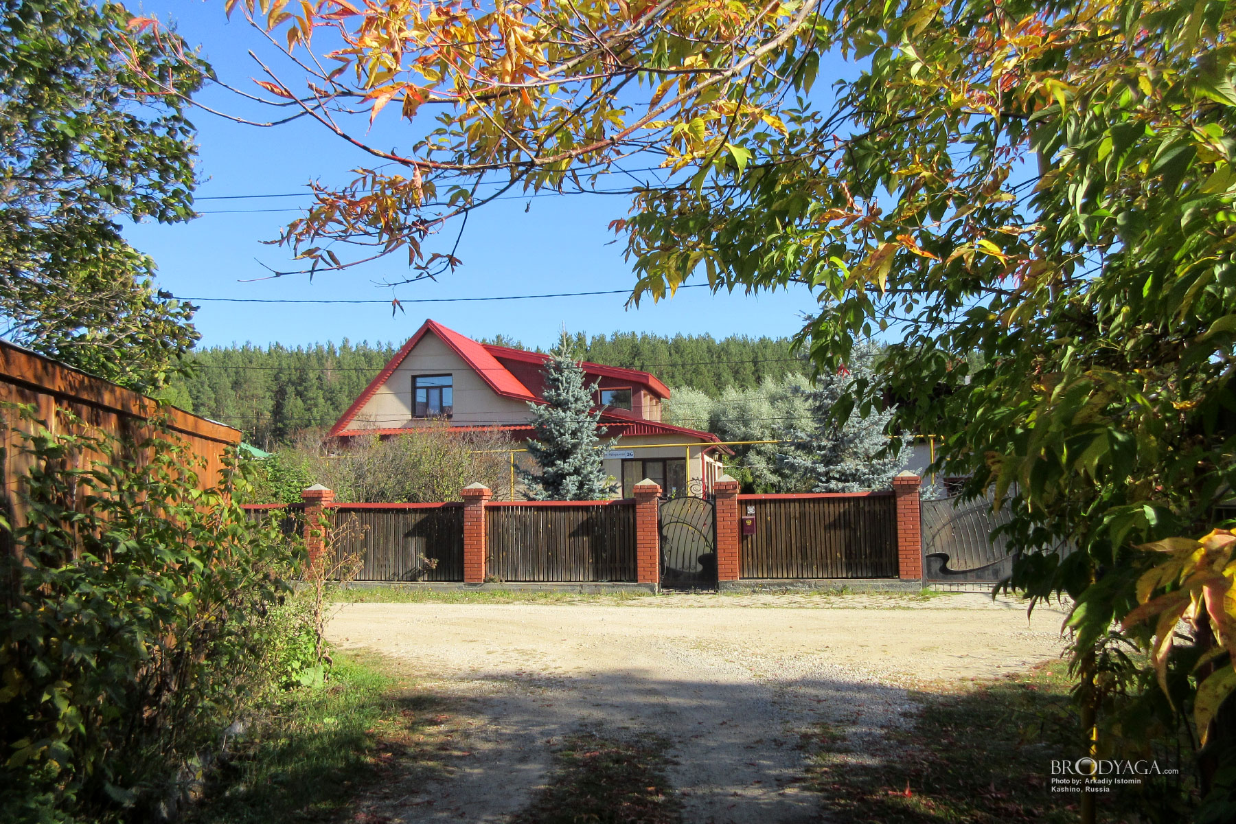 Kashino (Кашино)